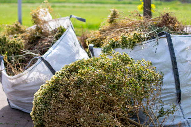 Best Carpet Removal and Disposal  in Brinkley, AR